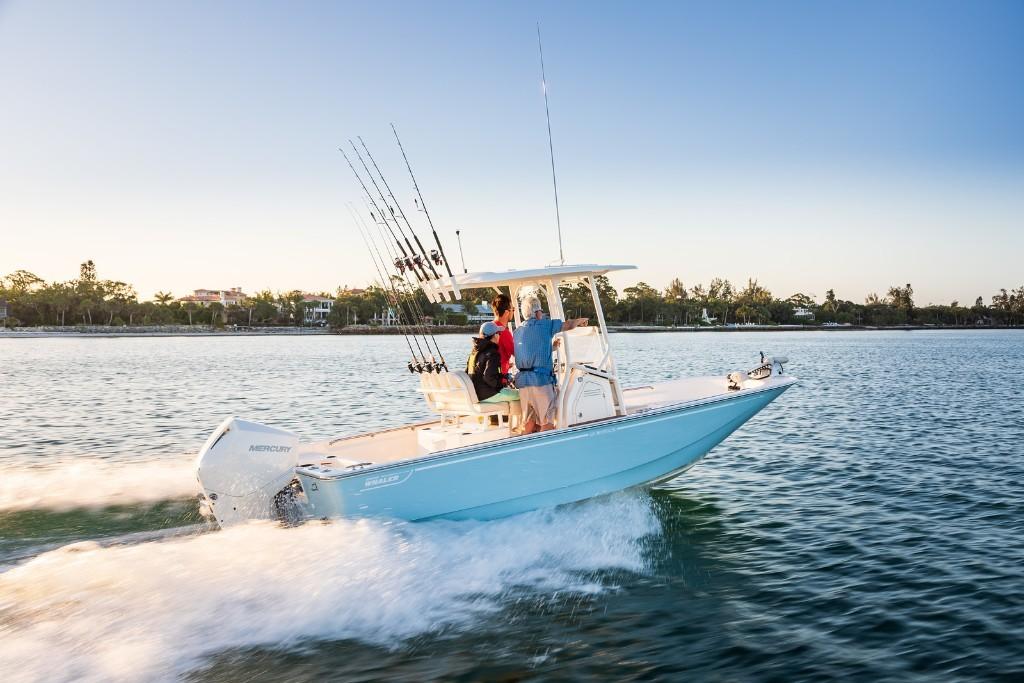2023 Boston Whaler
                                                             210 Montauk Image Thumbnail #1