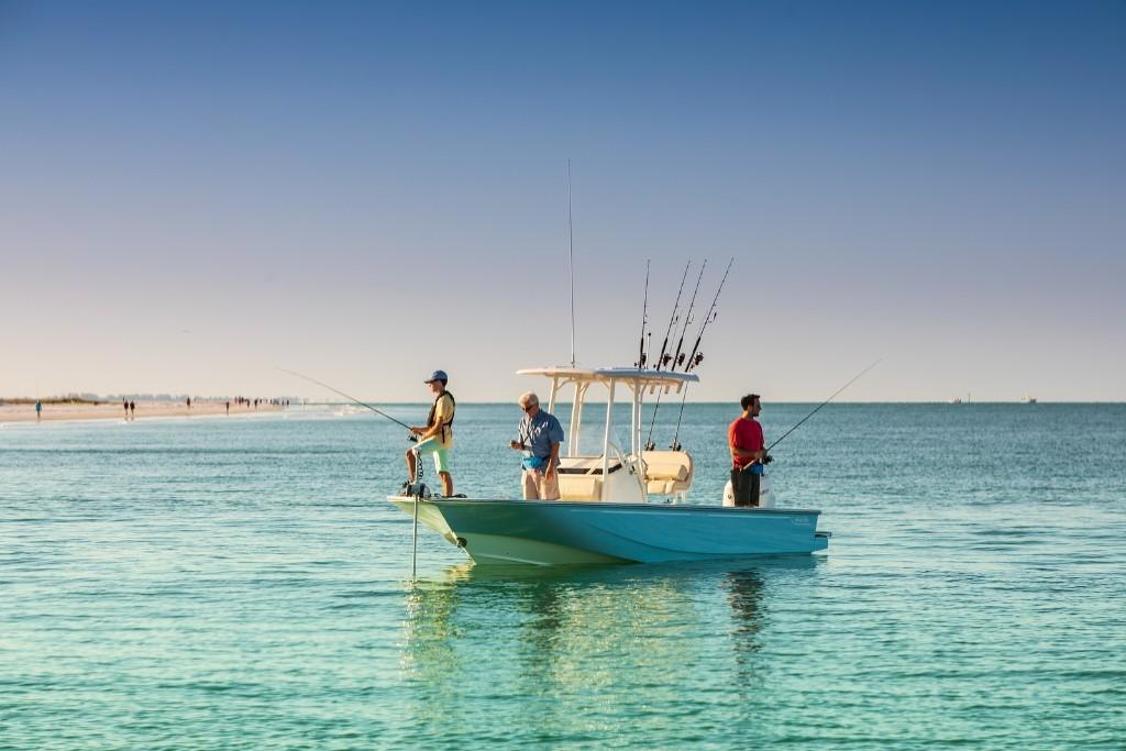 2023 Boston Whaler
                                                             210 Montauk Image Thumbnail #6