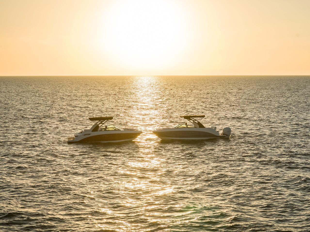 2023 Sea Ray
                                                             SDX 250 OB Image Thumbnail #13