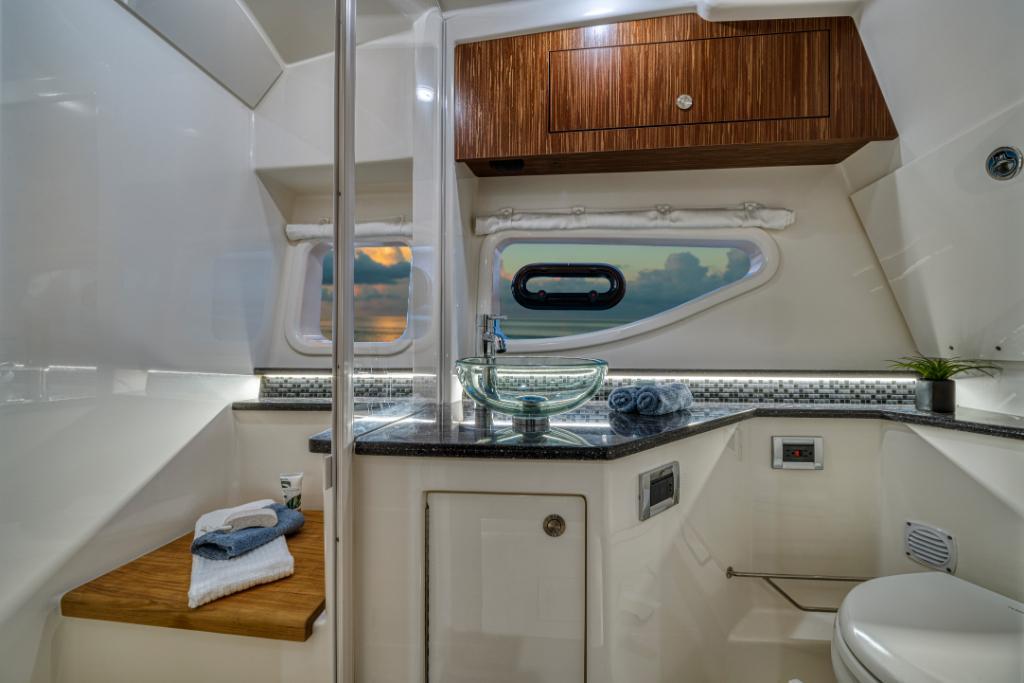 2023 Sea Ray
                                                             Sundancer 370 Outboard Image Thumbnail #37
