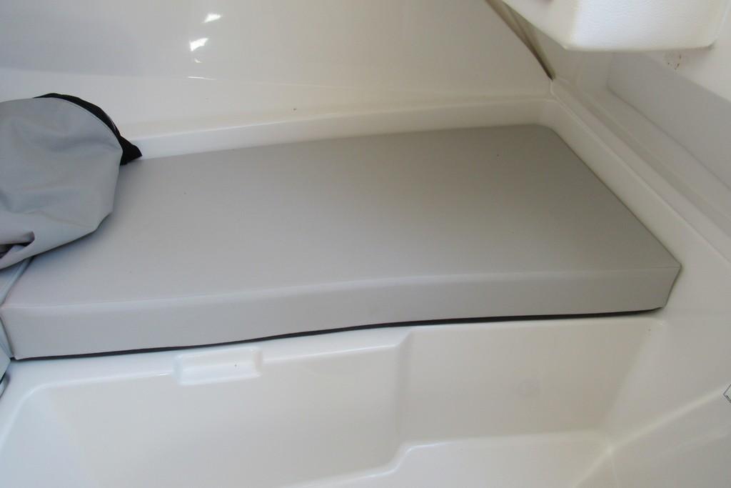 2021 Sea Ray
                                                             SDX 250 Image Thumbnail #16