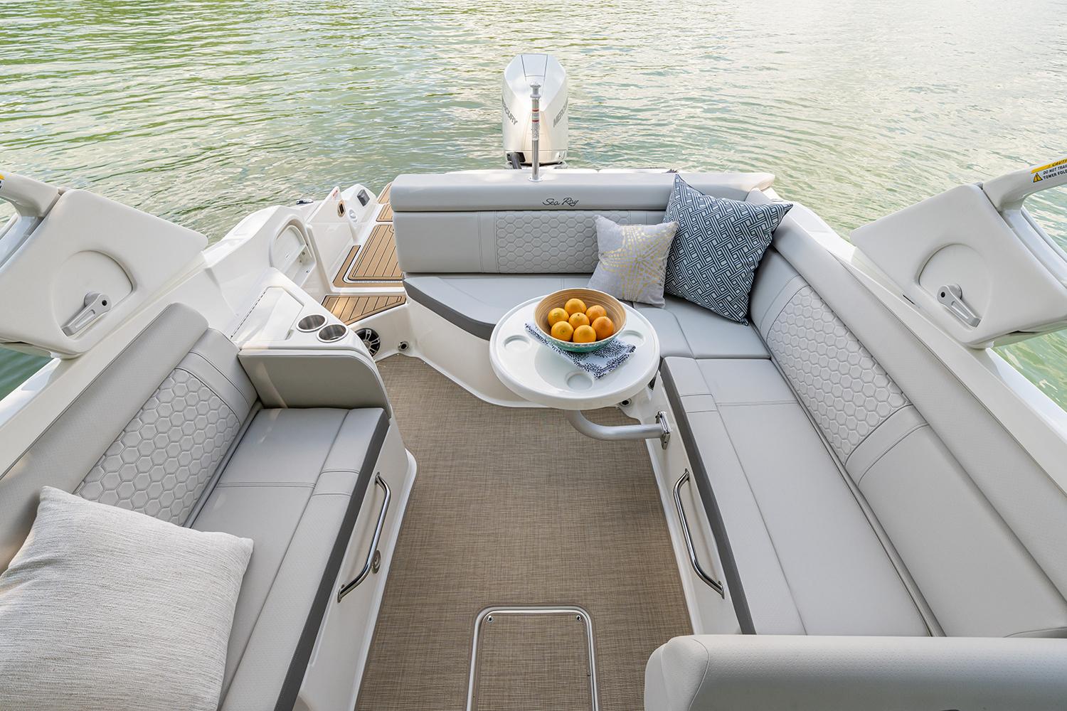 2023 Sea Ray
                                                             SDX 270 Outboard Image Thumbnail #31
